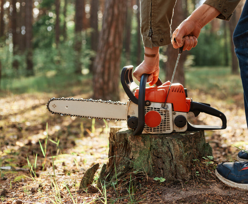 Tree Removal