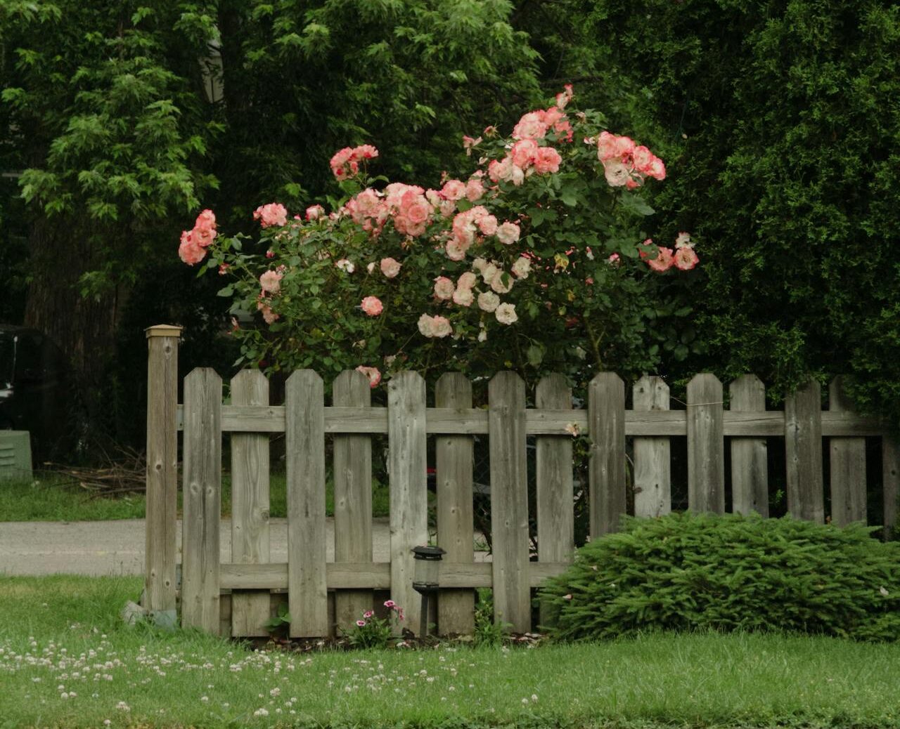 Fencing