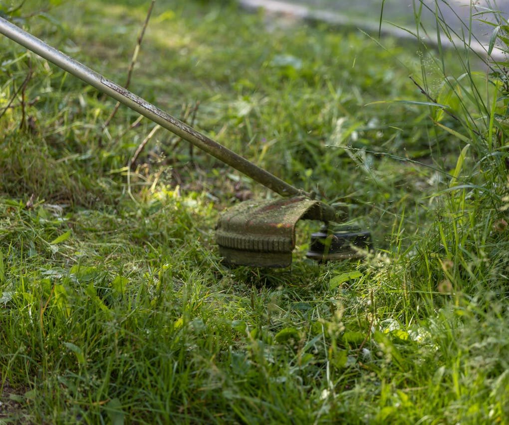 Grass Cutting